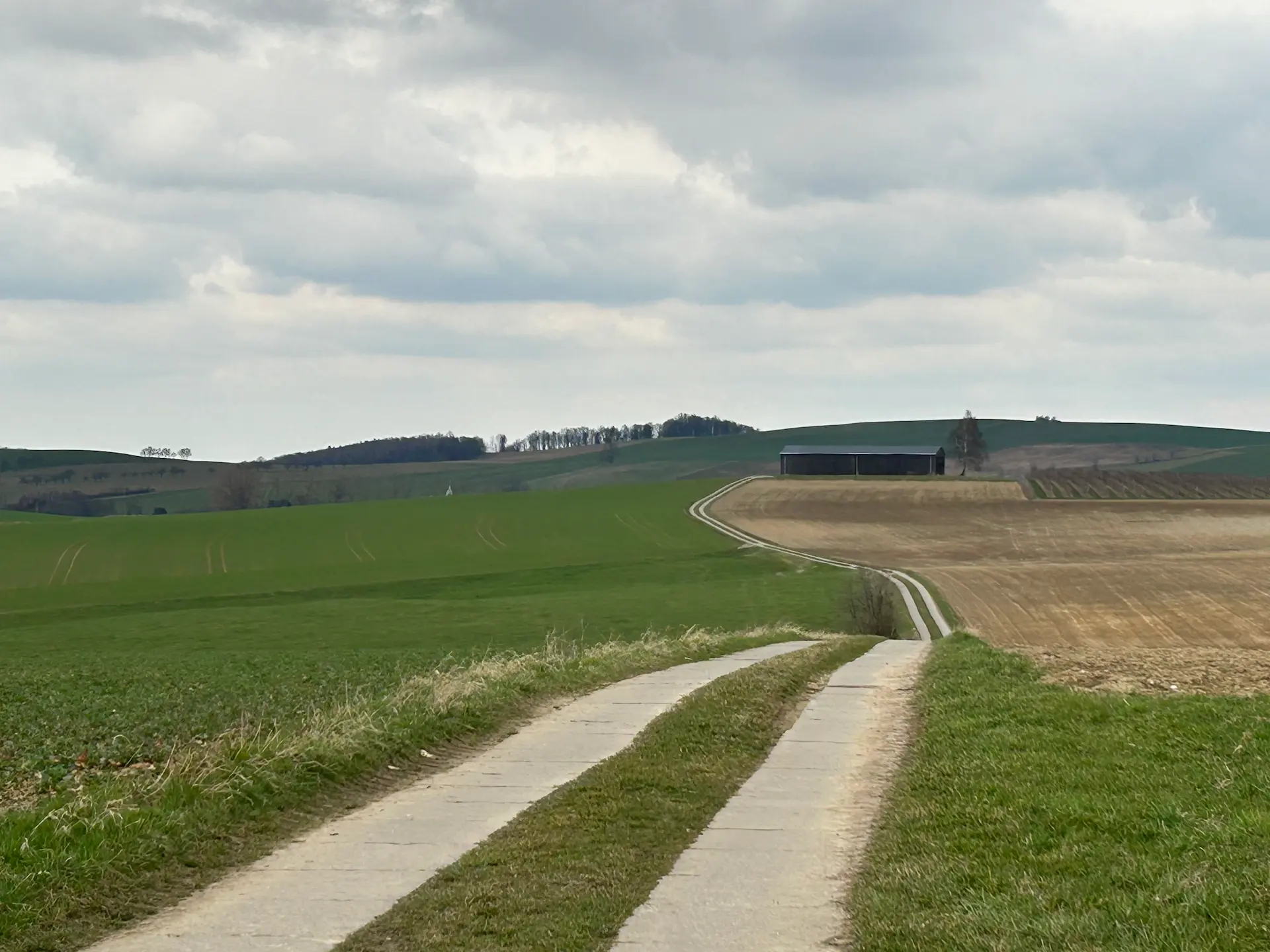Landwirtschaftliche Fläche mit Entwicklungsperspektive